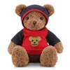 Custom Teddy Bear Plush Toy with Cloths