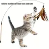 Toys 6 PCs Cat Toy Feather Substituição Cat Wand Recarreja as penas de pássaros naturais RECILLE, PENHAS SUBSTITUIÇÃO TRIMO