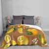 Filtar orange modern kreativ design bekväm varm flanell filt blommande vektor citrusskiva isolerad vintage bladfrukt