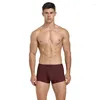 Underpants 1 pcs/lotto uomo sexy biancheria bianche da uomo pugile comode mutandine nylon man fx014