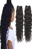 Hela billiga 8a Human Hair Weave Brasilian Water Wave Virgin Hair Extensions Peruvian Human Hair Weft 2st Affärer 80583305420221