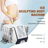 Nouveau portable Cryo 360 Cryolipolyse Slimming Machine Retrait Fat Cryolipolyse 8 Plaques Device de beauté