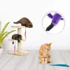 Toys Cat Worm Work Schowers Wande Wand Deptentent Worms 20pcs Worms Cat Toy Władze Cat Wand Załóżka zwiastun robak na zabawki dla kotów