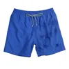 Top Quality Mens Magic Swimwear Color Change Embroidered Turtle Water Reactive Board Shorts Beach Surf Swim Mesh y240409