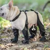 Sapatos de cachorro Botas ajustáveis ​​à prova d'água Rain Day Pet Blusbale para anda ao ar livre Soft French Bulldog Paws Protec y8a8 240411