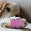 개 의류 애완 동물 안장 통기성 봄/여름 양말 용품 풋 패드