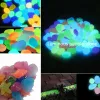 Aquariums 10/30 / 50pcs Colorful Luminous étoiles de mer conque Coquille en forme de pierres éclatantes décoratives pour jardin aquarium Pishing Pool Landscape