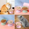 Forniture inclinate ciotola da gatto elevato in plastica ciotola per gatto piatto anti -vomito alimentatore per alimenti per alimenti per alimenti alimentari a ciotola per cani accessori per animali domestici