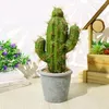 Fleurs décoratives artificielles succulentes durables largement utilisent une fausse simulation de plante en casquette simple de jardin cactus