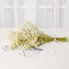 Dekorative Blumen getrocknete Blumenstrauß Valentinstag Geschenk Hochzeitshäuser für Po Requisiten Dekoration natürliche Gypsophila Paniculata Baby