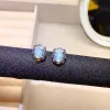 Örhängen elegant silver opal studörhängen för dagligt slit