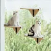 Toys Window Cat Hammock Mocne kubki ssące kota srapyer deska zabawka kociak wspinaczka po łóżeczku wieżowy i meble kota