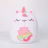 Toy Toy Animal Cat personnalisé Toys pour filles garçons enfants Cadeaux d'anniversaire DÉCORATIONS