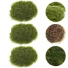 Fleurs décoratives 6 PCS MOSS BALL IMITÉ MOSSU DÉCOR ARTIFICIAL STONES ROCKS MICRO OFFICE FAUX