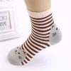 Socks Wholesale Highquality Novelty Lovely Maiden Socks Combed Cotton Kawaii's Cat Striped Sock 5 Colors