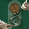 Feeders New Cat Accessories Cute Pet Food Feeder Glass Dog Double Bowl Pet Bowls with Golden Stand Raised Cat Bowls Dog Water Bowl