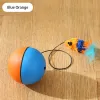 Toys Kimpets Cat Toys Mouse Teaser Ball Fun Fun Move Move Toy pour animal chat chien électrique Ball