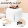 Purifiers 2.5L Cat Water Fountain Automatic Mute Drinker Water Bowl Feeder Electric USB PET Dispenser för katthundar med 1 filterlåda