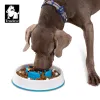 Matning Truelove Pet Slow Feeder Antislip Puzzle Interactive Bloat Stop Bowl Antikoking Dog Bowl för små och medelstora hundar TLT2601