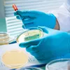 PCS PLACA DE AGAR NUTRIENTES Laboratorio de hongos Suministros de laboratorio de Petri Platos Platos Cultivos de tejidos