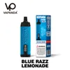 Local Warehouse Vapanda VP Shisha Puff 20000 20K Elektronisk cigaretter engångsvap 18000 Tornado 18K Infunity 13000 13K Display Skärm 50 mg 60 mg Al Fakher Vaper