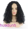 Wholesale Fashion Wigs hair for women Black Diagonal Split Small Roll Long Wig Chemical Fiber High Temperature Silk Full Machine Head Cover LW0188