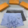 Erkek iç çamaşırı Boksörler Designer Underpant Briefs Marka Mektubu Baskılı 3 Pc Box ile