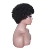 Short Afro Curly Wigs for Black Women Kinky Curly Wig Natural Looking Brazilian Full Hair Wig African American Replacement Women Wigs