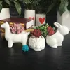 Vases Succulent Plante Pot Animal Simulation du hérisson blanc de fleur en céramique