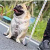 Imbracarsi di cani Collari stilista stampare Nylon Nylon Dog Cabla Breakaway Release Quick Release Vestinato Wieling Lead Regolable Regolabile