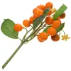 Decorazione della festa corda di frutta artificiale modello realistico ramo arancione realistico