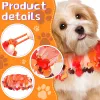 Colliers Benepaw Halloween Cat Collier de chien Spider Turquie Dorative Pet Ruffle Collar pour les vacances de fête de Thanksgiving Décorations de fête