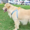 Arneses de moda de moda correa de perro arneses color color mascota save save -shreash chinstyle cadena de perros perra cuerda para caminar