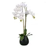 Decorative Flowers LCG Sales 32" Faux White Orchid In Embossed Ceramic Pot