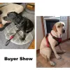 Imbracature supret cani imbracatura riflettente no pull ot cucciolo nylon regolabile bulldog francese imbracatura per le forniture per animali domestici di grandi dimensioni