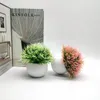 Fleurs décoratives 2pcs plantes de simulation en pot en plastique ajoutant de la beauté et du style à tout réglage d'entretien à faible coût