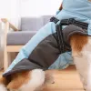 Jassen grote honden jas voor kleine middelgrote honden kleding reflecterende puppy jas Franse bulldog pug labrador husky kostuums hond accessoires