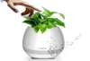 Muzyka Plant Pot Smart Flowerpot Kolny lekki bezprzewodowy głośnik Bluetooth Długoletnia gra w Touch Muzyka lampa roślinna do sypialni HOM4531662