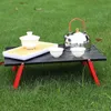 Camp Furniture Camping Mini Portable Folding Table Home Outdoor Dining Table Furniture Barbecue Table with Handbag Lightweight Table Y240423