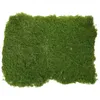 Fleurs décoratives Moss Green Decor Decor Sand Table Turf Couptable Décorer l'alimentation en plastique pour la décoration du modèle