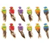 12pcs Colorful Mini Simulation Birds Fake Artificial Animal Model Miniature Wedding Home Garden Ornement Decoration C190416018226063