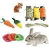 Leksaker husdjur kanin marsvin chinchillas roliga leksak hamster kanin kanin tänder slipning set pet tand malande snacks