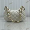 Designer Hobos Bag Women 10A Handbag Shoulderbag High Quality Crossbody Bag With Box C127