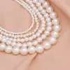 Halsketten Vintage -Stil Einfache 6mm Perle Kette Choker Halskette für Frauen Hochzeit Liebesschale Anhänger Halskette Mode Schmuck Großhandel Großhandel