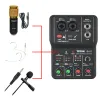 Equipment Portable Audio Interface Professional Mini External Sound Card Mixer 48V Computer Guitar Studio PC Record Teyun Q12 Equipment