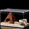Terrariums Onepiece Fleproofproofing acrylique Transparent Office Box Reptile Snake Gecko Spider Frog Horned et autre petite boîte d'alimentation pour animaux de compagnie