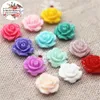 Figurine decorative 100 pezzi da 10 mm a colori misti Camellia resina piatta cabochon gioielli fai -da -te/decorazione del telefono senza buco