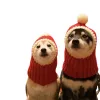 Accessoires Pet Hat Hiver Headgear Pet Christmas Chapeau Funny Costume ACCESSOIRES PET POUR LES PETTEMENTS GRAND CHIBES HABLAGE DES PROPOSSIONS CHIENS