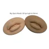 Bits Big Open Mouth 3D Lèvres réalistes meilleures pratiques Skin silicone pour les maquilleurs permanents