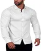 Koszulki męskie 2024 Slim Fit Shirt Business Casual Long Rleeve Button Lapel 5 kolorów duże S-6xl